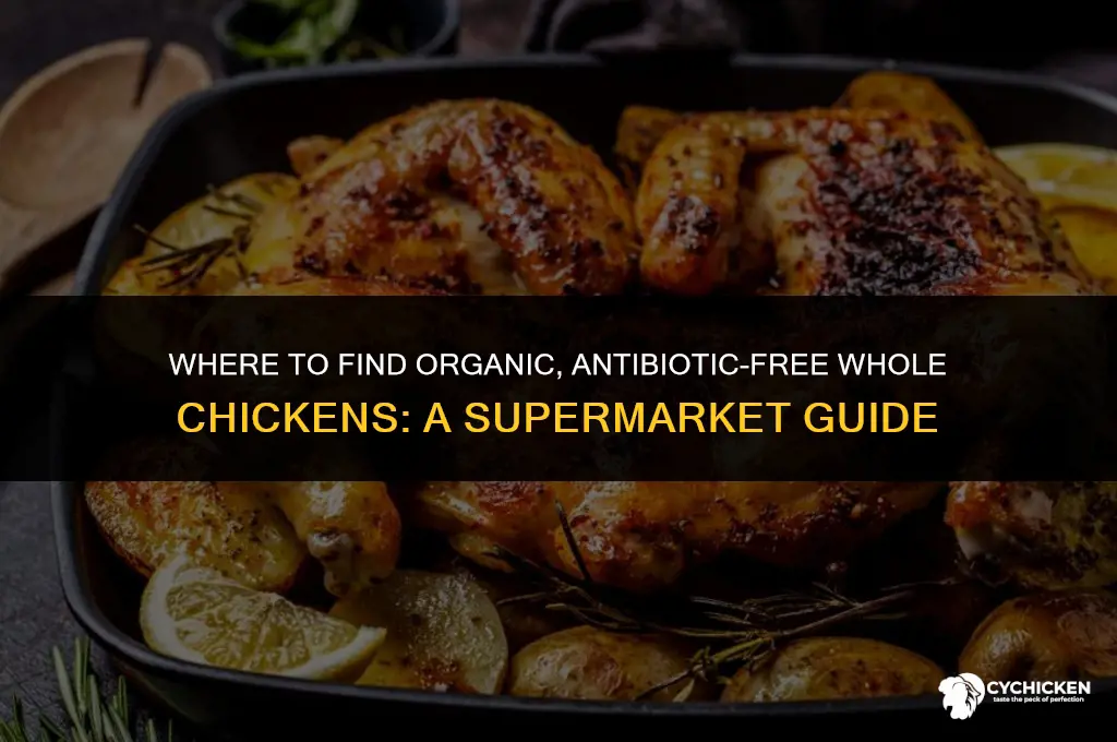 which supermarkets sell whole chicken organic no antibiotics