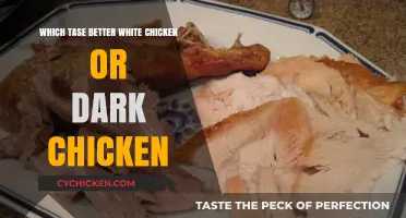 White vs. Dark Chicken: Which Tastes Better in Every Bite?