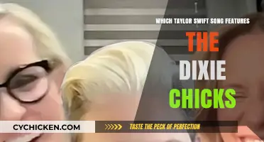 Taylor Swift's Collaboration: The Dixie Chicks' Featured Song Revealed