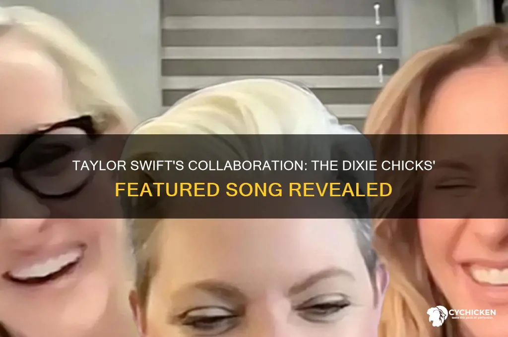 which taylor swift song features the dixie chicks
