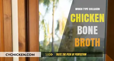 Unlocking the Benefits: Type I Collagen in Chicken Bone Broth