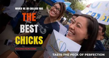 Exploring UC San Diego Colleges: Where to Find the Most Attractive Students