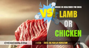 Lamb vs. Chicken: Unraveling the Healthier Choice for Your Canine Companion