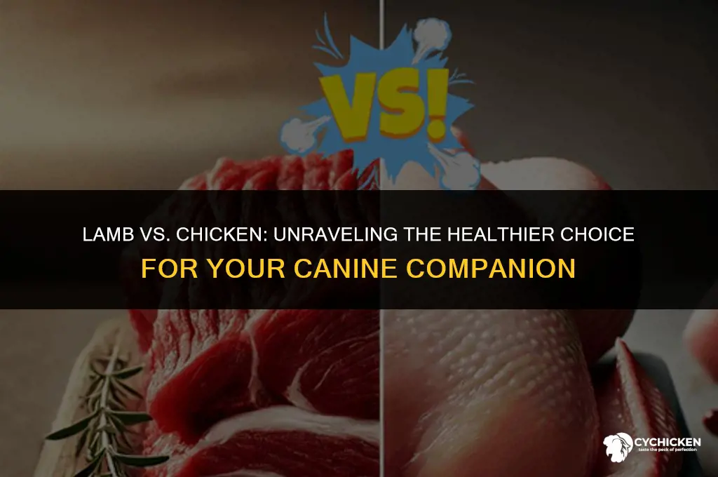 which us healthier for dogs lamb or chicken