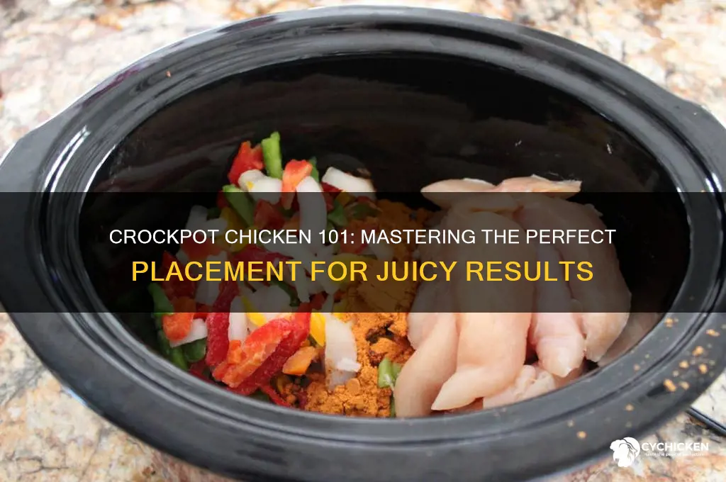 which way do i put chicken in crockpot