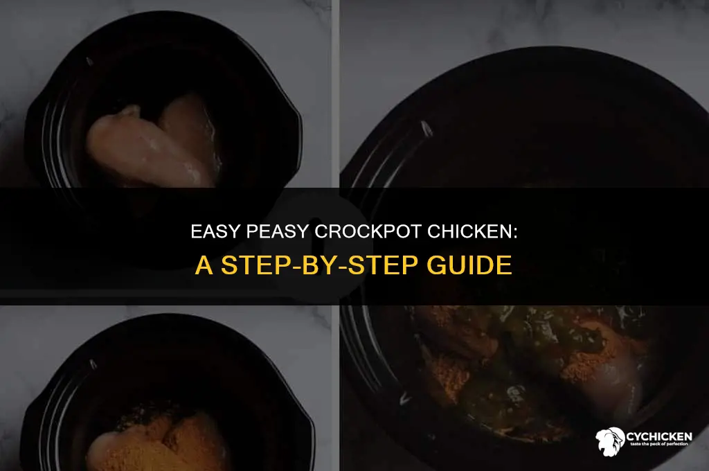 which way do i put whole chicken in crockpot