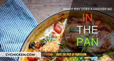 Chicken Roasting 101: Pan Direction for Succulent Meat