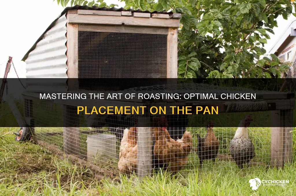 which way to place whole chicken on pan