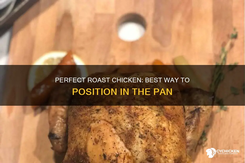 which way to put chicken in roasting pan