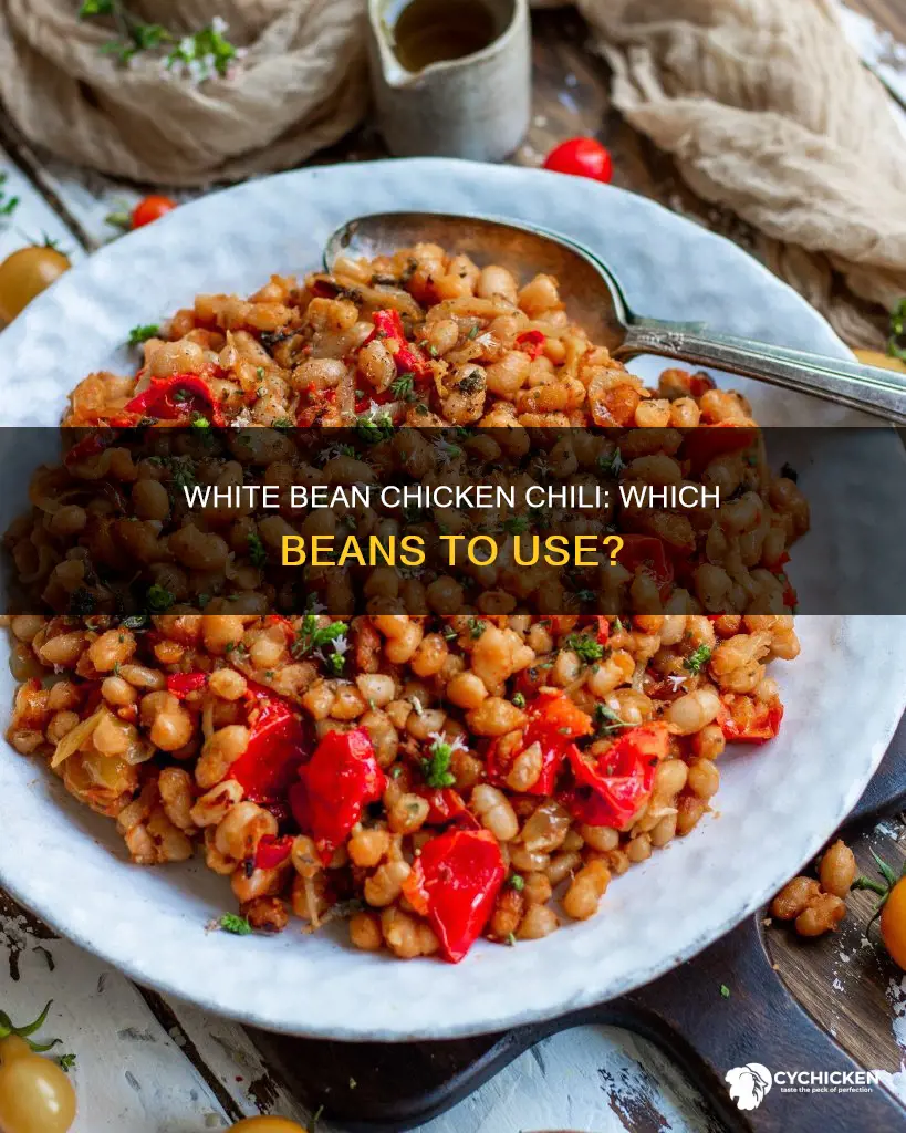 which white beans are best for white chicken chili