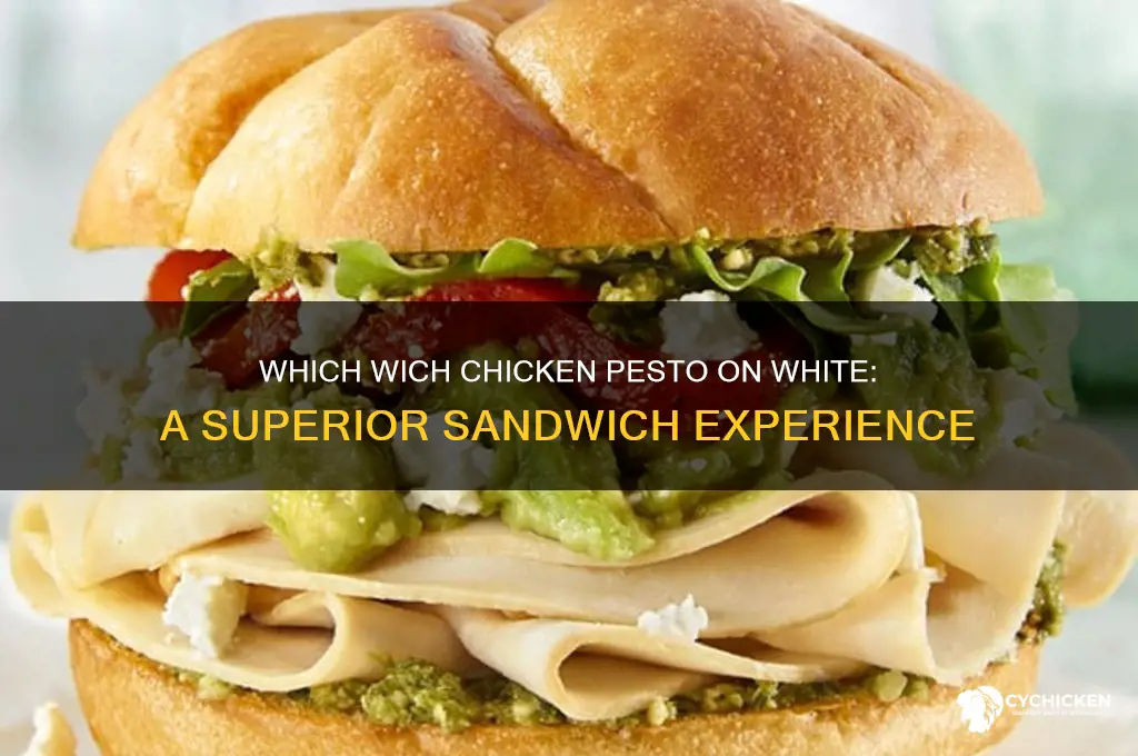 which wich superior sandwiches chicken pesto on white bread