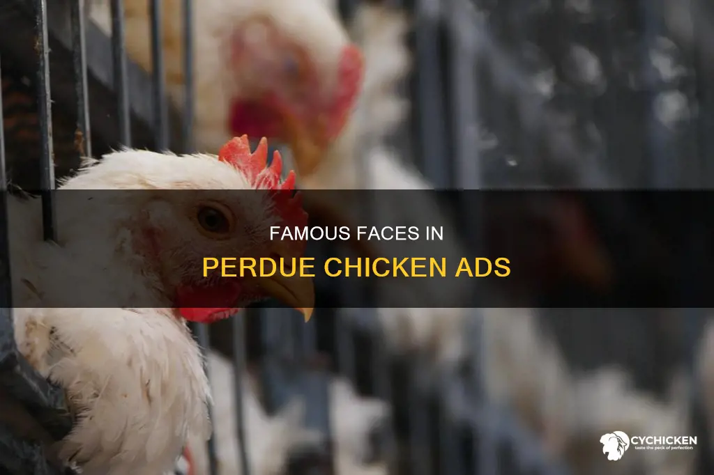 who are the actors in the perdue chicken commercial