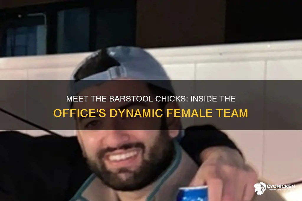 who are the barstool chicks in the office