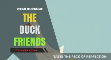Who Are the Chick and Duck Friends? Exploring Their Adorable Bond