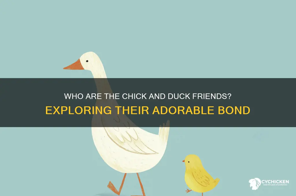 who are the chick and the duck friends