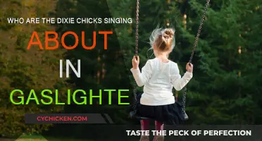 Gaslighter: Dixie Chicks' Painful Divorce Ballad