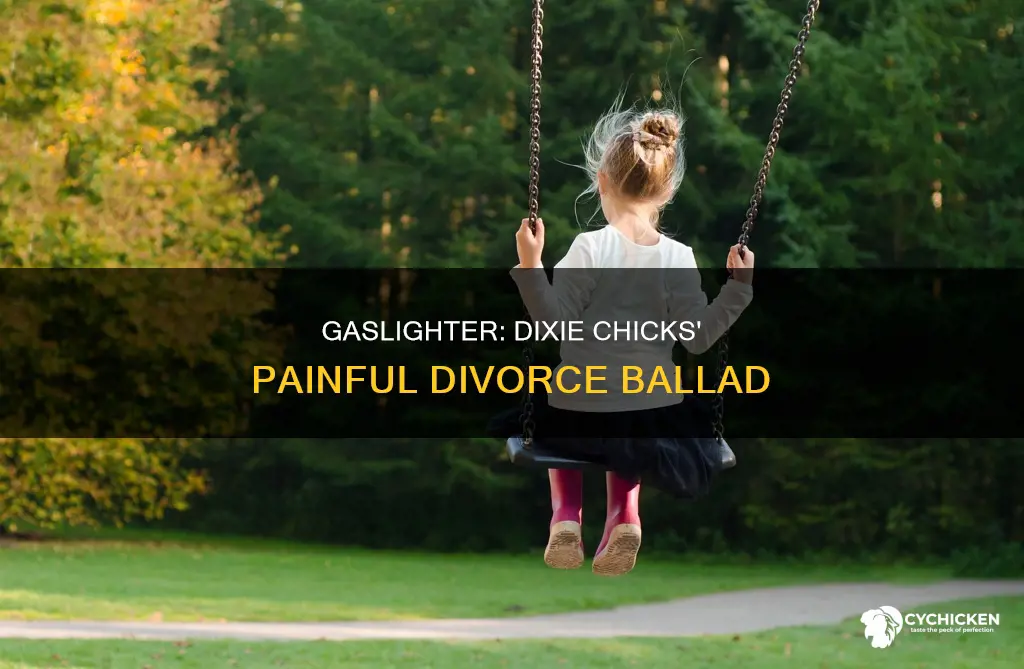 who are the dixie chicks singing about in gaslighter