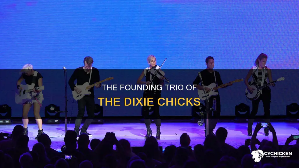 who are the founding members of the dixie chicks