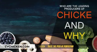 Chicken Producers: Who Leads and Why?