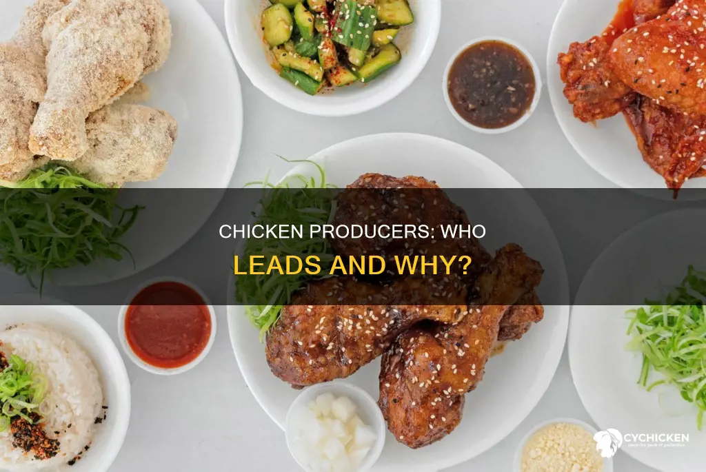 who are the leading producers of chicken and why