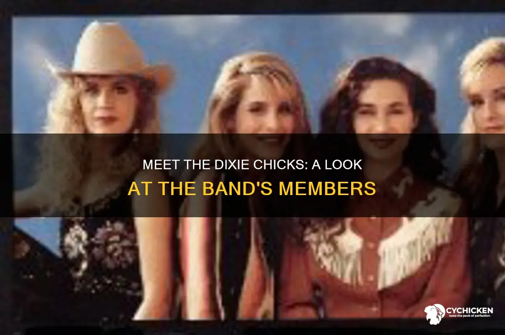 who are the members of the dixie chicks