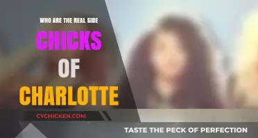 Unveiling Charlotte's Secret Lovers: The Real Side Chicks Revealed