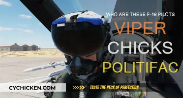F-16 Viper Chicks: Fact or Fiction?