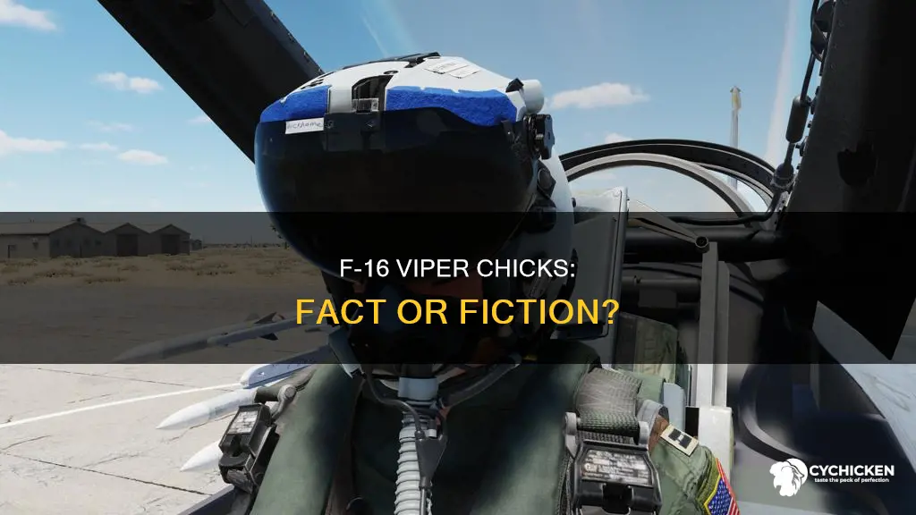who are these f-16 pilots viper chicks politifact