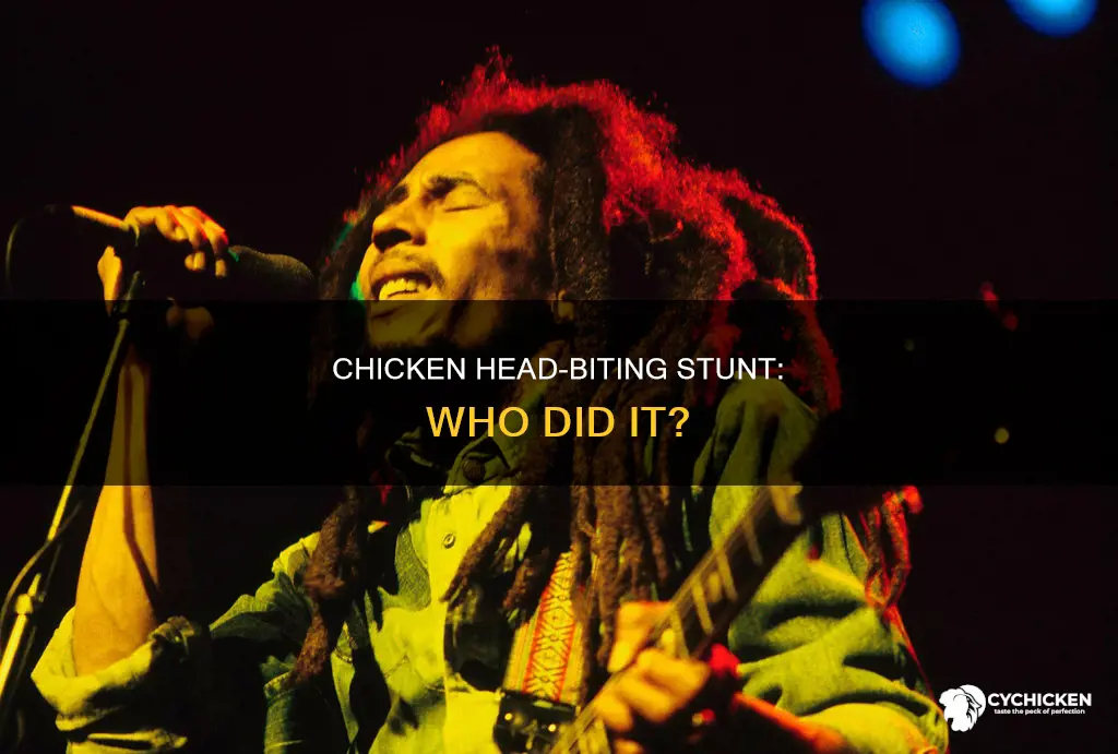 who bit a chicken
