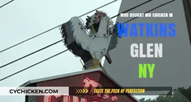Who Bought Mr. Chicken in Watkins Glen, NY? The Story