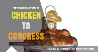 Congress' Unexpected Guest: The Story Behind the Bucket of Chicken