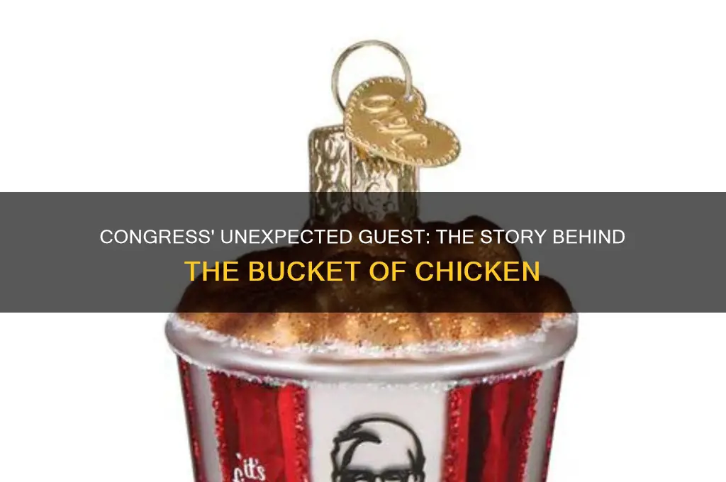 who brought a bucket of chicken to congress