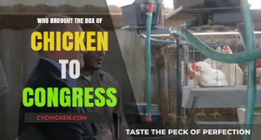 Who Brought the Box of Chicken to Congress?
