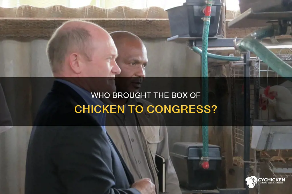 who brought the box of chicken to congress