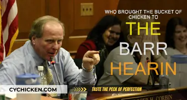 Chicken Bucket Mystery: Barr Hearing Intrigue
