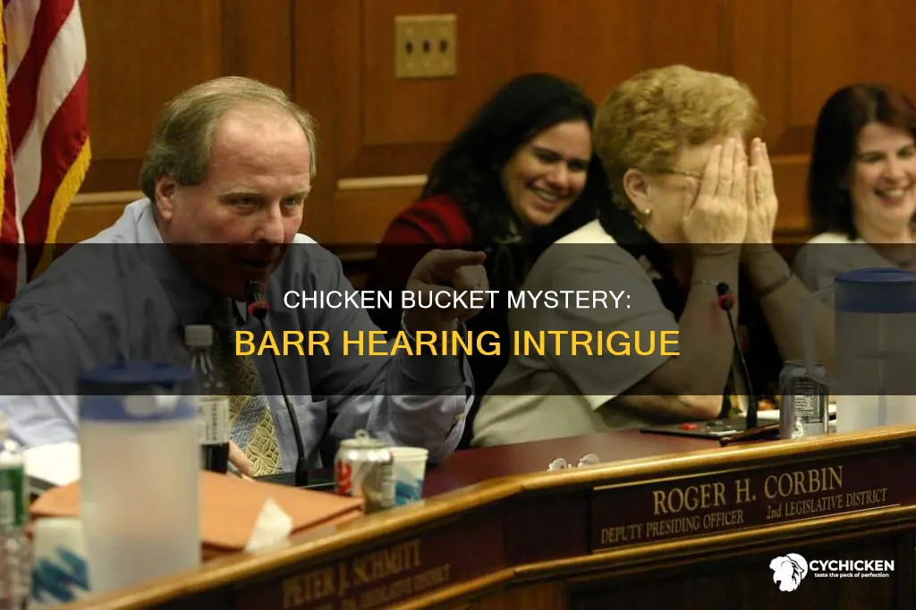 who brought the bucket of chicken to the barr hearings