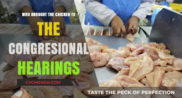 The Unexpected Guest: A Chicken's Appearance at Congressional Hearings
