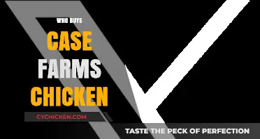Who Buys Case Farms Chicken? A Consumer and Market Overview