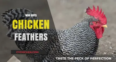 Unlikely Buyers: Who Purchases Chicken Feathers and Why?