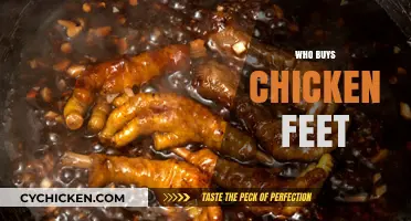 Who Buys Chicken Feet? Exploring the Global Demand and Culinary Uses