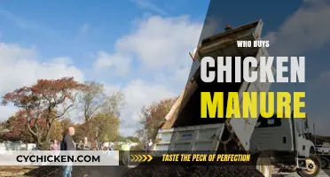 Who Buys Chicken Manure? Surprising Uses and Buyers Revealed