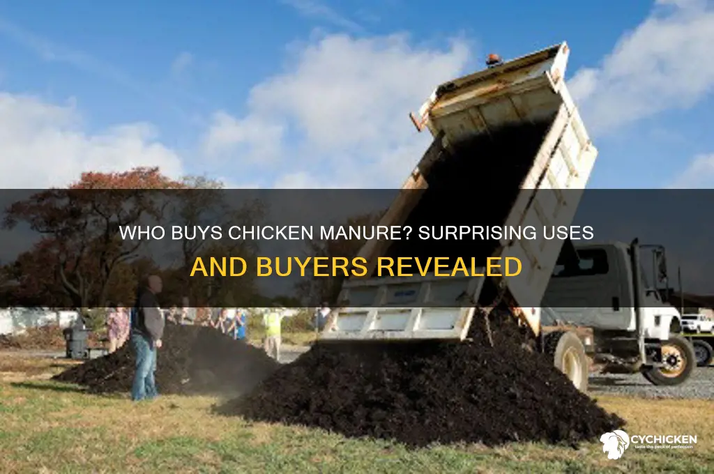 who buys chicken manure