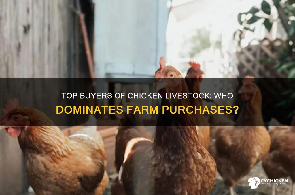 who buys the most chicken livestock from farms