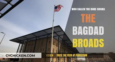 Who Dubbed the Dixie Chicks the 'Baghdad Broads'?