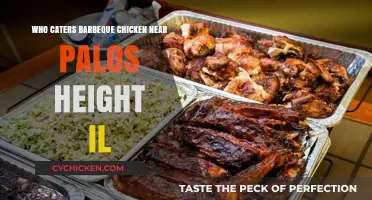 Best BBQ Chicken Catering Options Near Palos Heights, IL