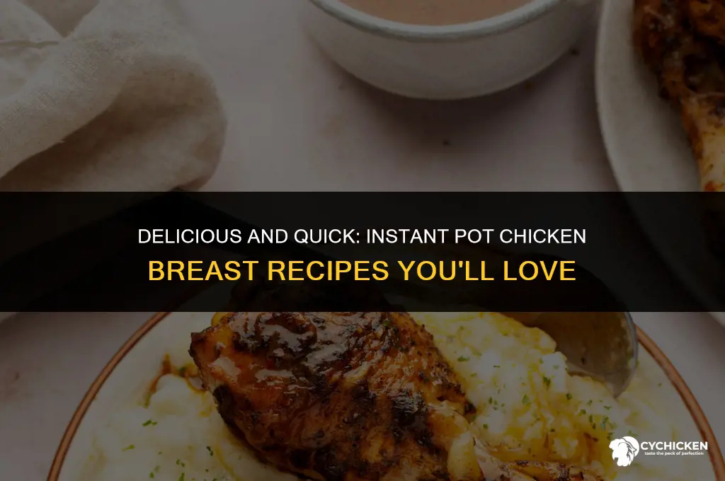 who chicken breast instant pot recipes