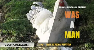 The Bizarre Claim: A Chicken as a Man Explained
