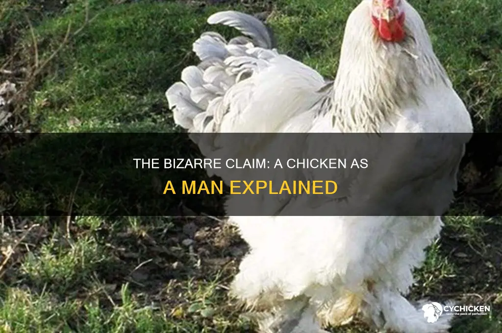 who clained tgar a chicken was a man