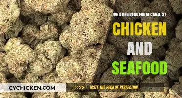 Canal St Chicken & Seafood: Who Delivers Your Favorite Meals?