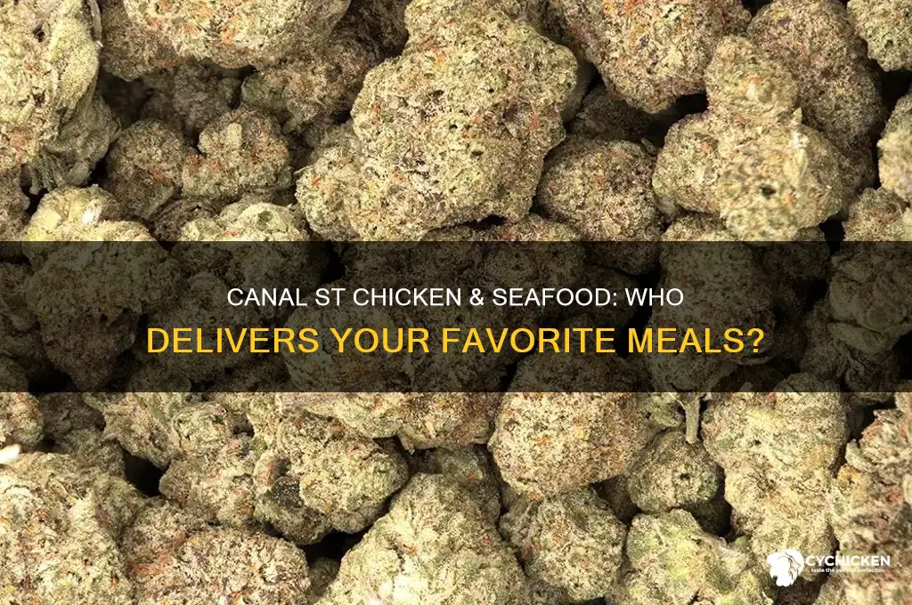 who delivers from canal st chicken and seafood